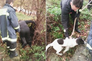 Αλεξανδρούπολη: Έσωσαν τον σκύλο που βρήκαν εγκλωβισμένο μέσα σε μια τρύπα στο έδαφος