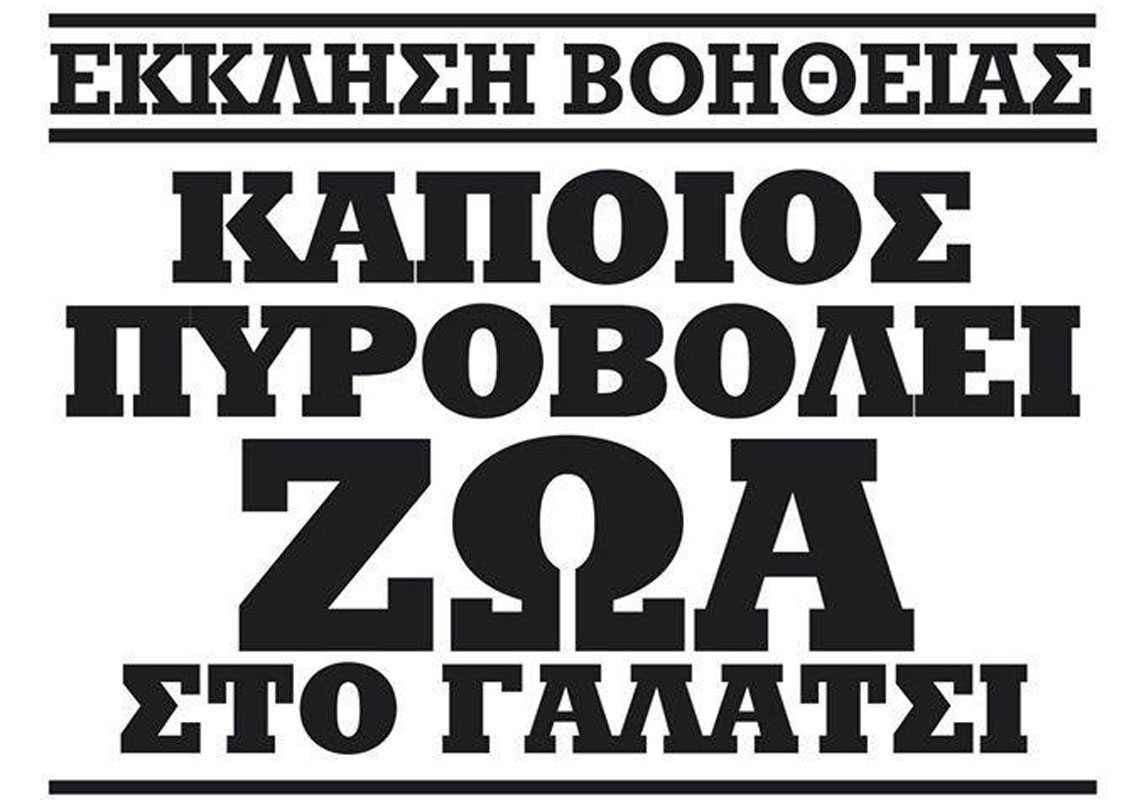 Γαλάτσι: Αναζητούν πληροφορίες για τον δράστη που πυροβολεί, σκοτώνει, αφήνει παράλυτες γάτες