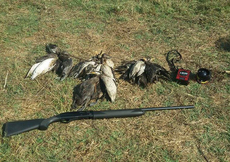 Συνέλαβαν κυνηγό που είχε σκοτώσει εκτός κυνηγετικής περιόδου 23 πάπιες στον βάλτο Στρογγυλής του Αμβρακικού