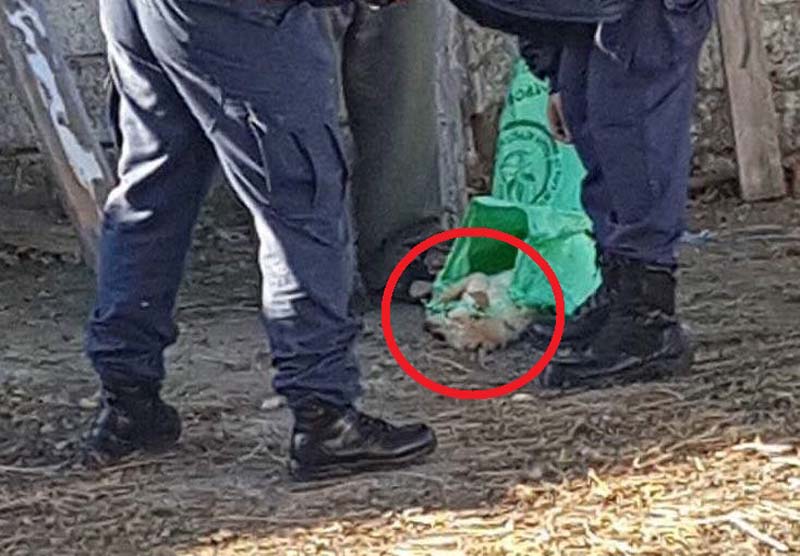 Καταδικάστηκε χωρίς αναστολή ο άνδρας που σκότωσε τον σκύλο του στα Κύργια Δράμας