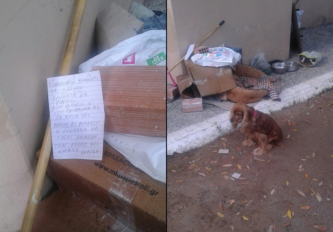 Γυναίκα εγκατέλειψε τον τυφλό και κουφό σκύλο της έξω από εκκλησία στο Χαλάνδρι Αττικής