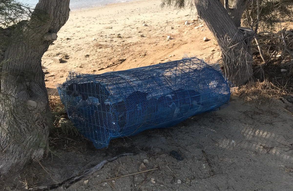 Πάρος: Έκλεισε σε συρματόπλεγμα και εγκατέλειψε στην παραλία πέντε σκυλάκια