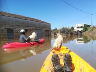Εύη Θάνου: Τραγική η κατάσταση για τα ζώα στα πλημμυρισμένα χωριά της Καρδίτσας (βίντεο)