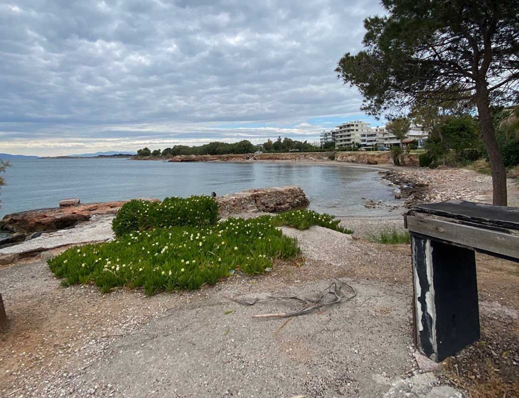 Καταδικάστηκε ερήμην με αναστολή ηλικιωμένος άνδρας που έβαζε τον σκύλο του να σκοτώνει γάτες στη Βούλα Αττικής