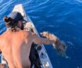 Έσωσε σκύλο που βρήκε να κολυμπάει μεσοπέλαγα ανάμεσα σε Πάρο και Νάξο (βίντεο)