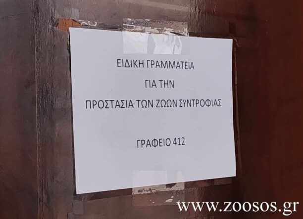 Αναρμόδια δηλώνει η Ειδική Γραμματεία για την Προστασία των Ζώων Συντροφιάς για τον Δήμο Ικαρίας που αφήνει χωρίς φροντίδα τ’ αδέσποτα