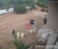 Καλαμάτα Μεσσηνίας: Αστυνομικός σκότωσε σκύλο συγγενών του πυροβολώντας τον δύο φορές με πιστόλι