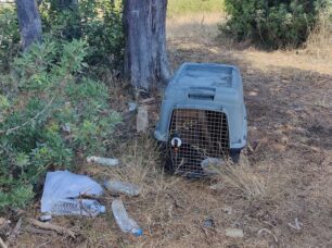 Κέρκυρα: Αναζητούν ποιος εγκατέλειψε τον σκύλο του σε κλουβί στον ήλιο (βίντεο)