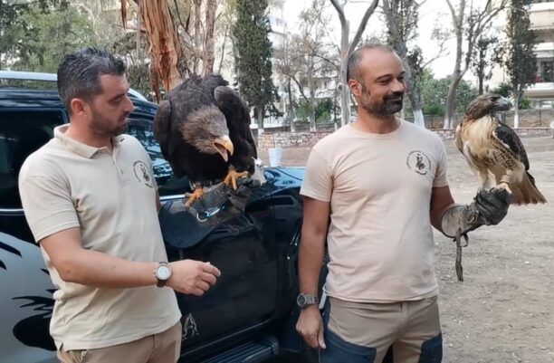 Με αιχμάλωτα αρπακτικά που χρησιμοποιούνται ως εργαλεία ο Δήμος Ηρακλείου Αττικής «γιόρτασε» την Παγκόσμια Ημέρα Ζώων (βίντεο)