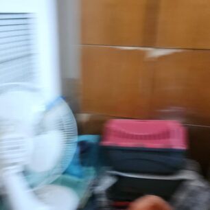 AthinaGatesSyllektriaAdmitou8 3 2025 7