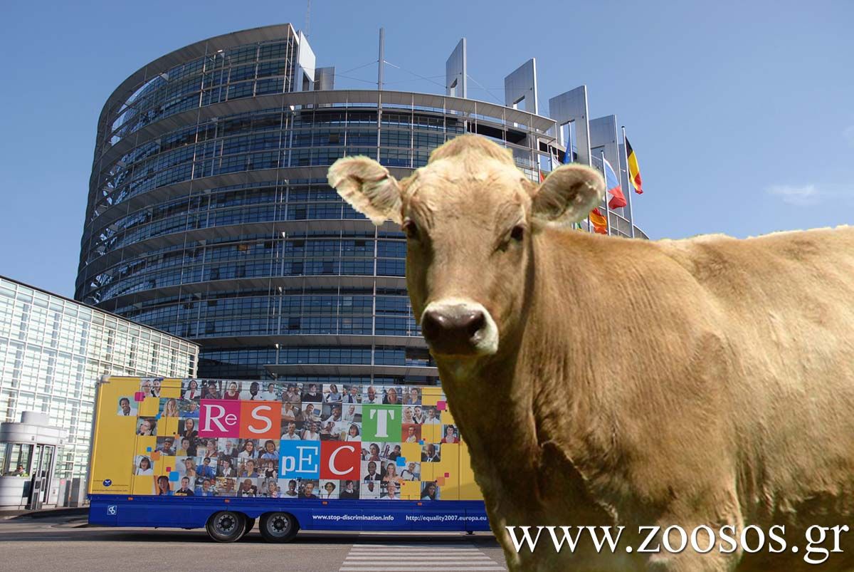 Ο ευρωβουλευτής Μ. Τρεμόπουλος πιέζει για τη θέσπιση μέγιστης διάρκειας 8 ωρών για τη μεταφορά ζώων προς σφαγή