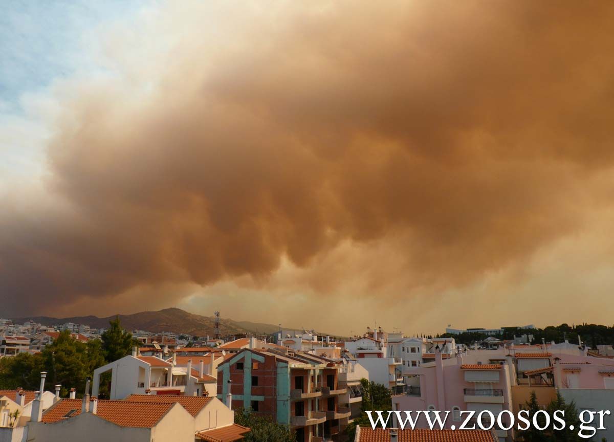 Αυτόφωρη διαδικασία για περιβαλλοντικά εγκλήματα