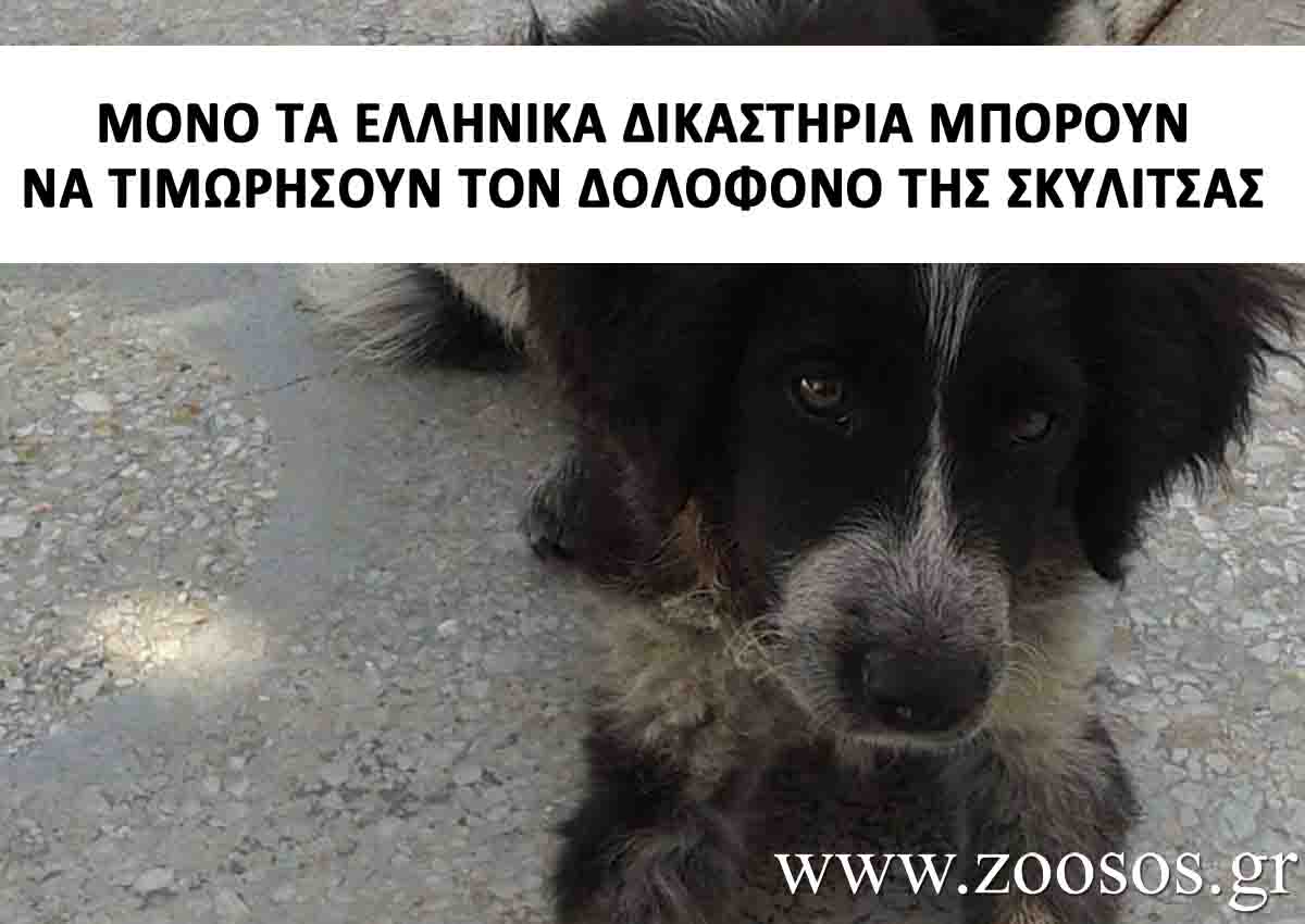 Μόνο τα ελληνικά δικαστήρια μπορούν να επιβάλλουν ποινή στον δολοφόνο της Μάγκυ