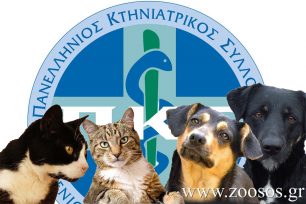 Στο Συμβούλιο της Επικρατείας προσέφυγε ο Παν. Κτηνιατρικός Σύλλογος για την παράδοση της βάσης δεδομένων στο ΥΠ.Α.Α.Τ.