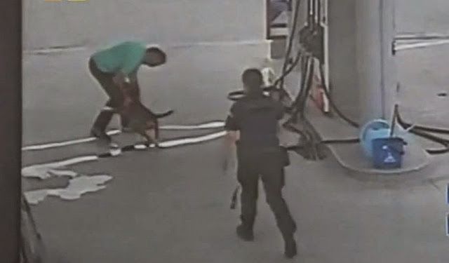 Νέο Ρύσιο Θεσσαλονίκης: Υπάλληλος βενζινάδικου εξαγρίωσε το πίτμπουλ βασανίζοντας το με το πιεστικό πριν αυτό επιτεθεί σε ανθρώπους